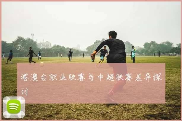 港澳台职业联赛与中超联赛差异探讨