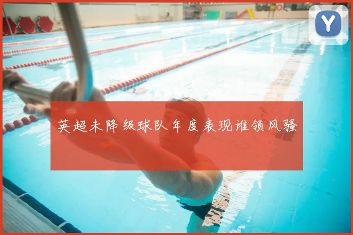 英超未降级球队年度表现谁领风骚