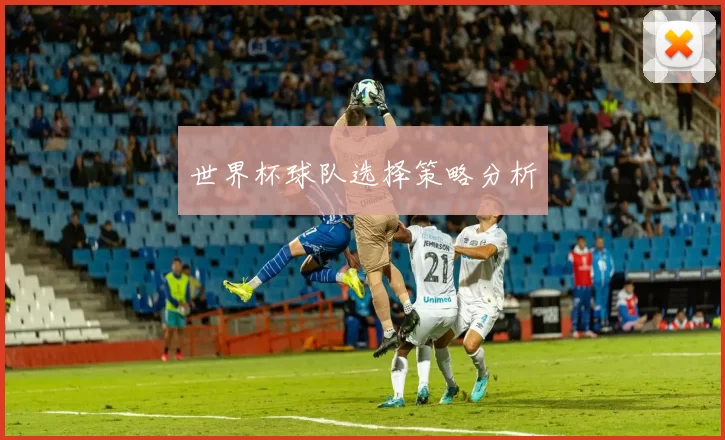 世界杯球队选择策略分析
