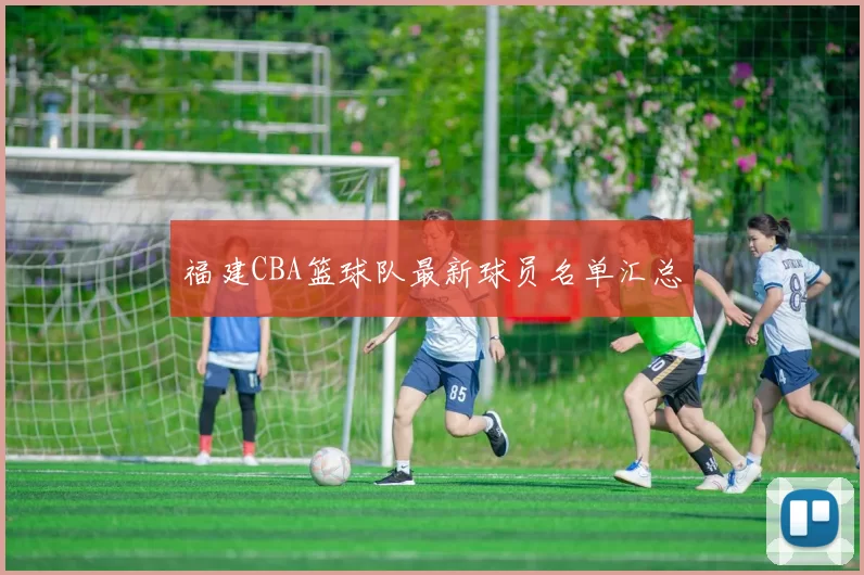 福建CBA篮球队最新球员名单汇总