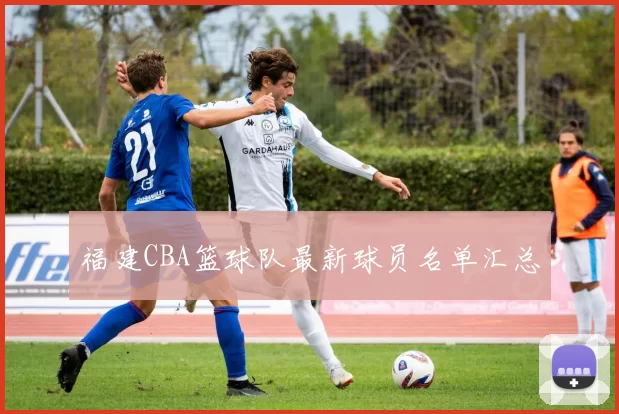 福建CBA篮球队最新球员名单汇总