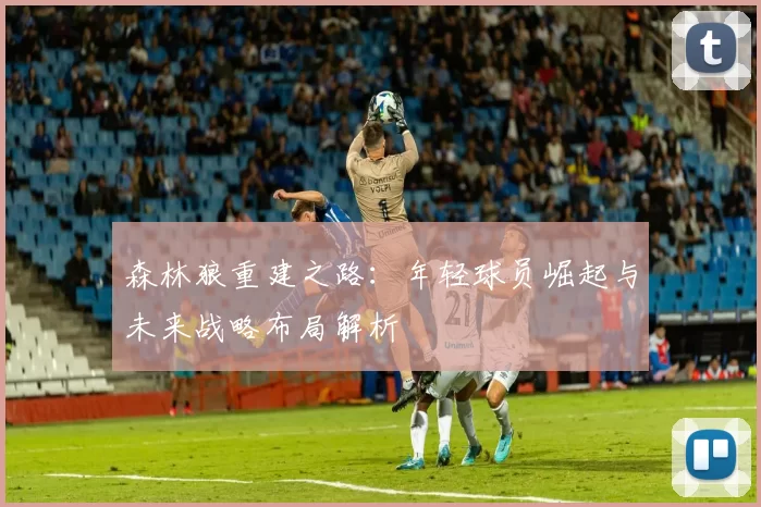 森林狼重建之路:年轻球员崛起与未来战略布局解析