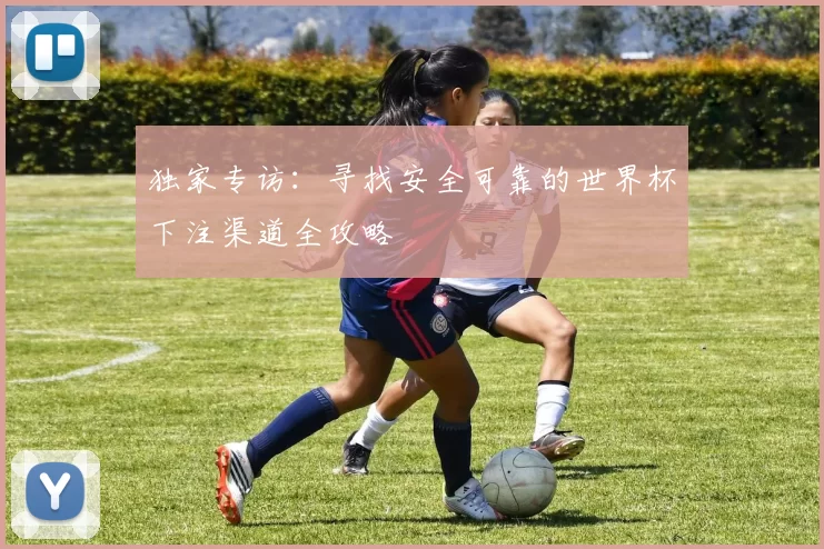 独家专访：寻找安全可靠的世界杯下注渠道全攻略