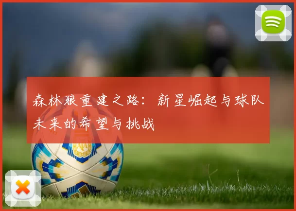 森林狼重建之路:新星崛起与球队未来的希望与挑战