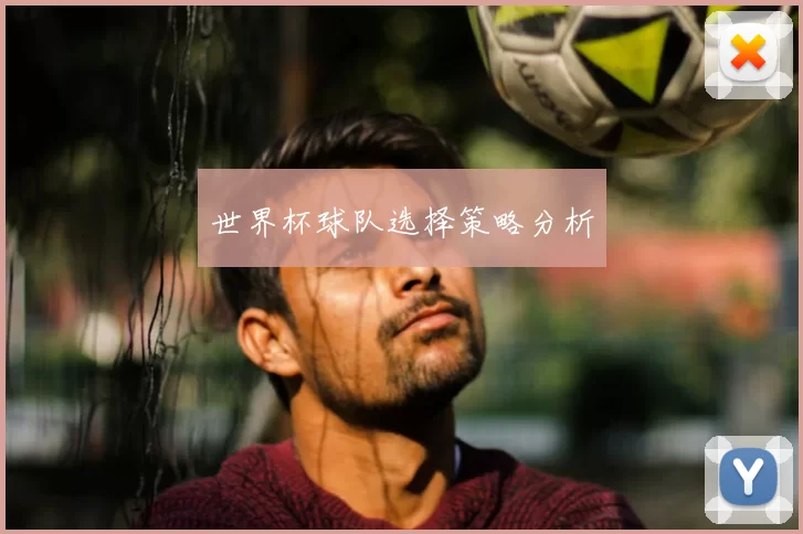 世界杯球队选择策略分析