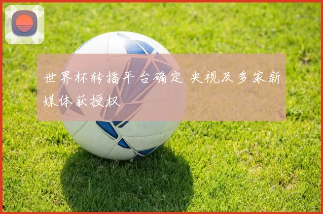 世界杯转播平台确定 央视及多家新媒体获授权