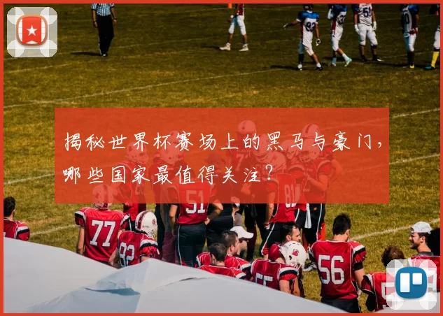 揭秘世界杯赛场上的黑马与豪门,哪些国家最值得关注?