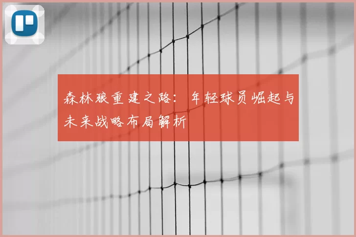 森林狼重建之路:年轻球员崛起与未来战略布局解析