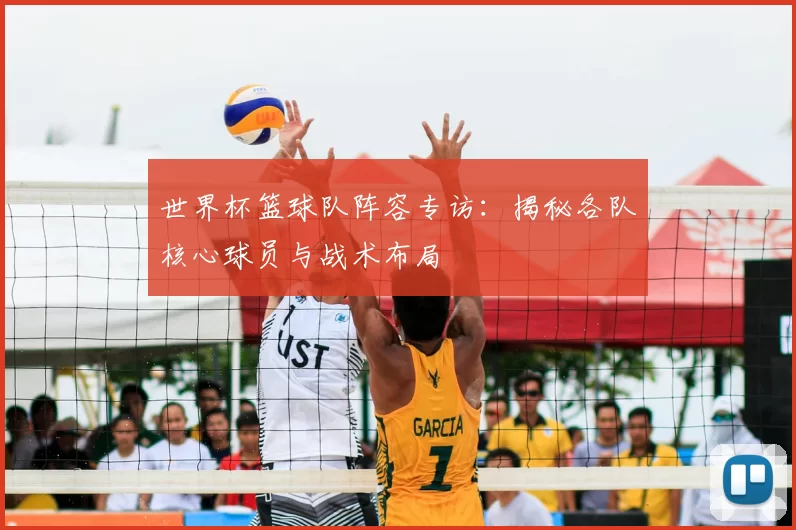 世界杯篮球队阵容专访:揭秘各队核心球员与战术布局