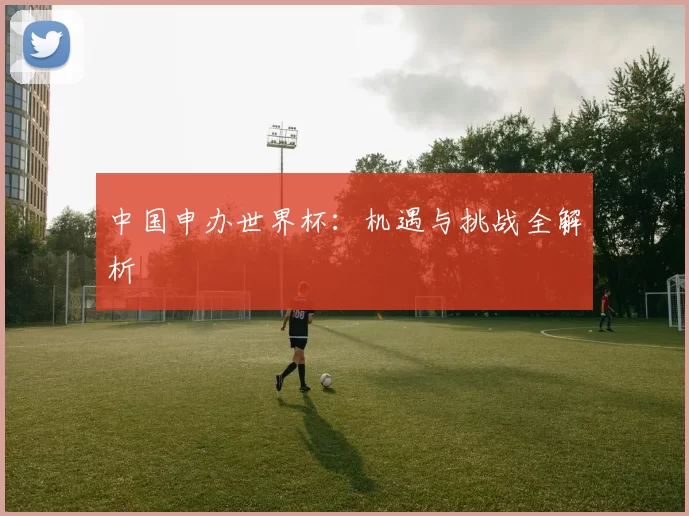 中国申办世界杯：机遇与挑战全解析