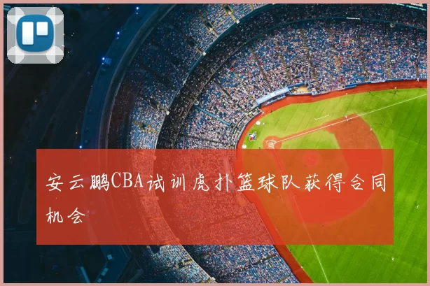 安云鹏CBA试训虎扑篮球队获得合同机会