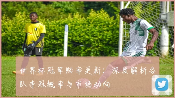 世界杯冠军赔率更新：深度解析各队夺冠概率与市场动向