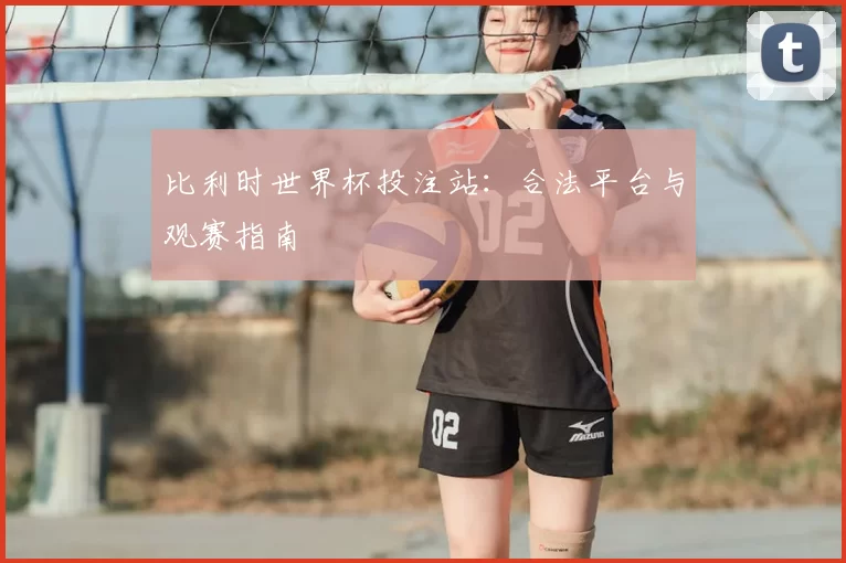 比利时世界杯投注站：合法平台与观赛指南