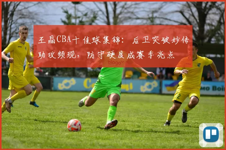 王晶CBA十佳球集锦：后卫突破妙传助攻频现，防守硬度成赛季亮点