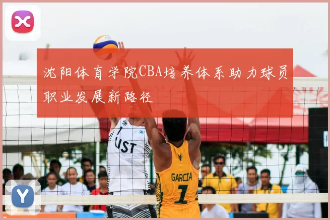 沈阳体育学院CBA培养体系助力球员职业发展新路径