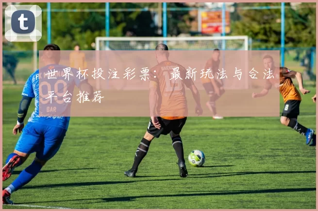 世界杯投注彩票：最新玩法与合法平台推荐