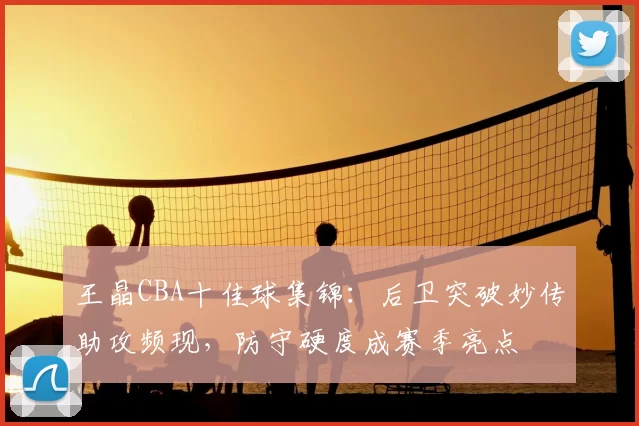 王晶CBA十佳球集锦:后卫突破妙传助攻频现,防守硬度成赛季亮点