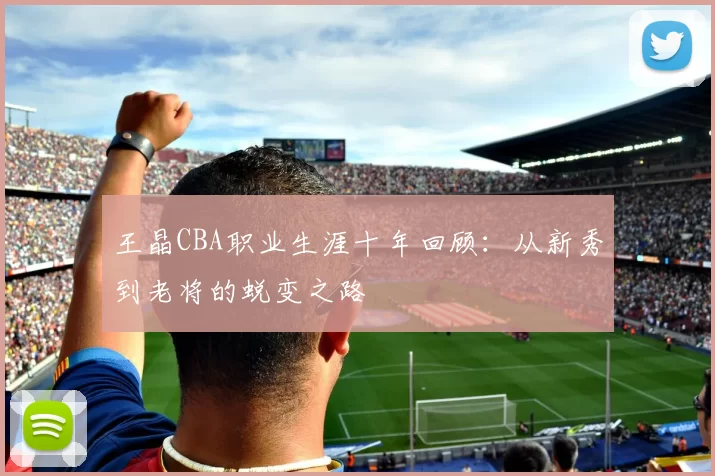 王晶CBA职业生涯十年回顾：从新秀到老将的蜕变之路