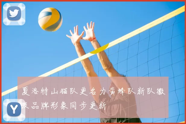 夏洛特山猫队更名为黄蜂队新队徽及品牌形象同步更新
